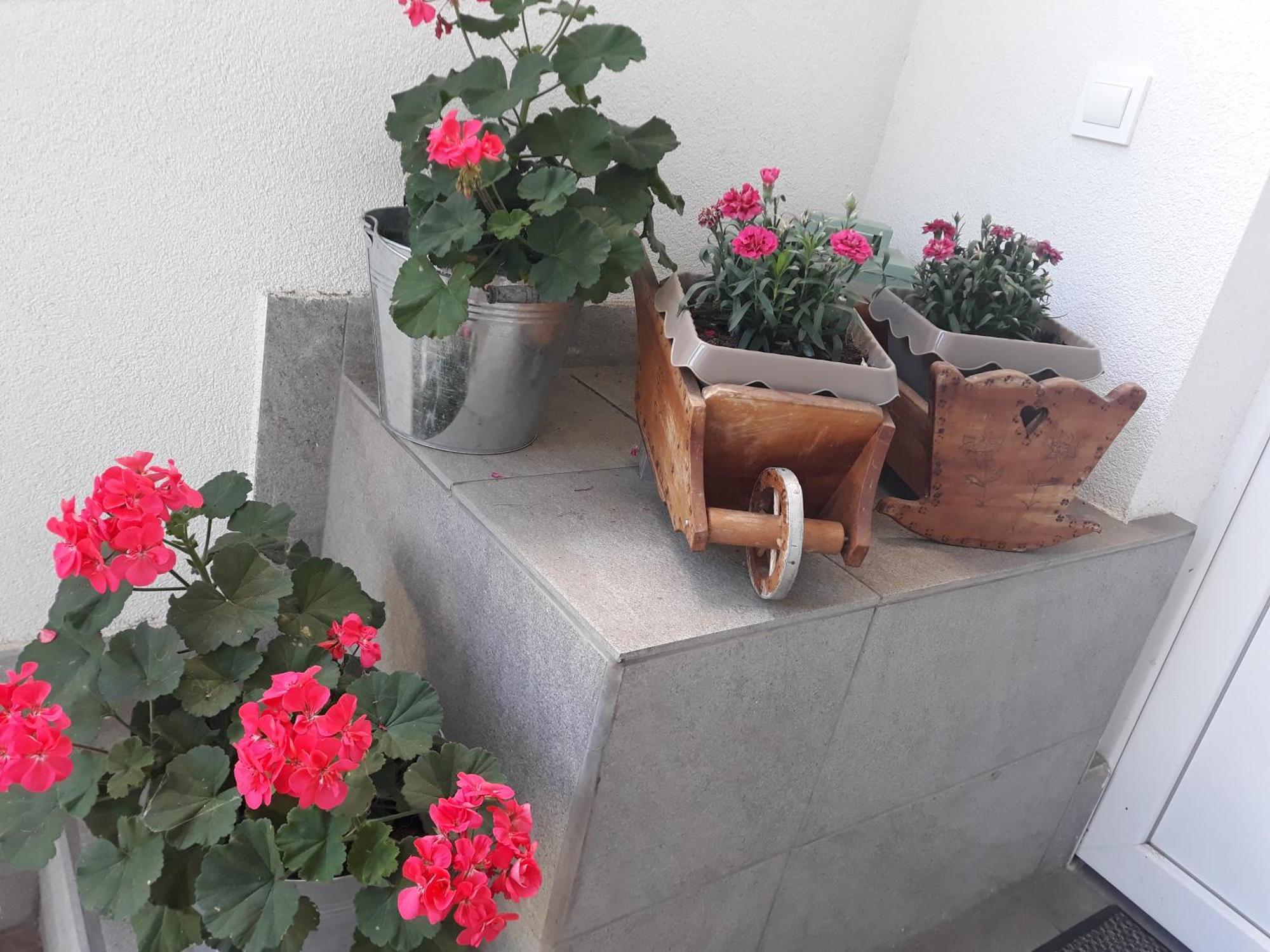 Apartment Zorec มาริบอร์ ภายนอก รูปภาพ